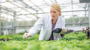 Scientist working on plants in a glasshouse - credit: Getty Images